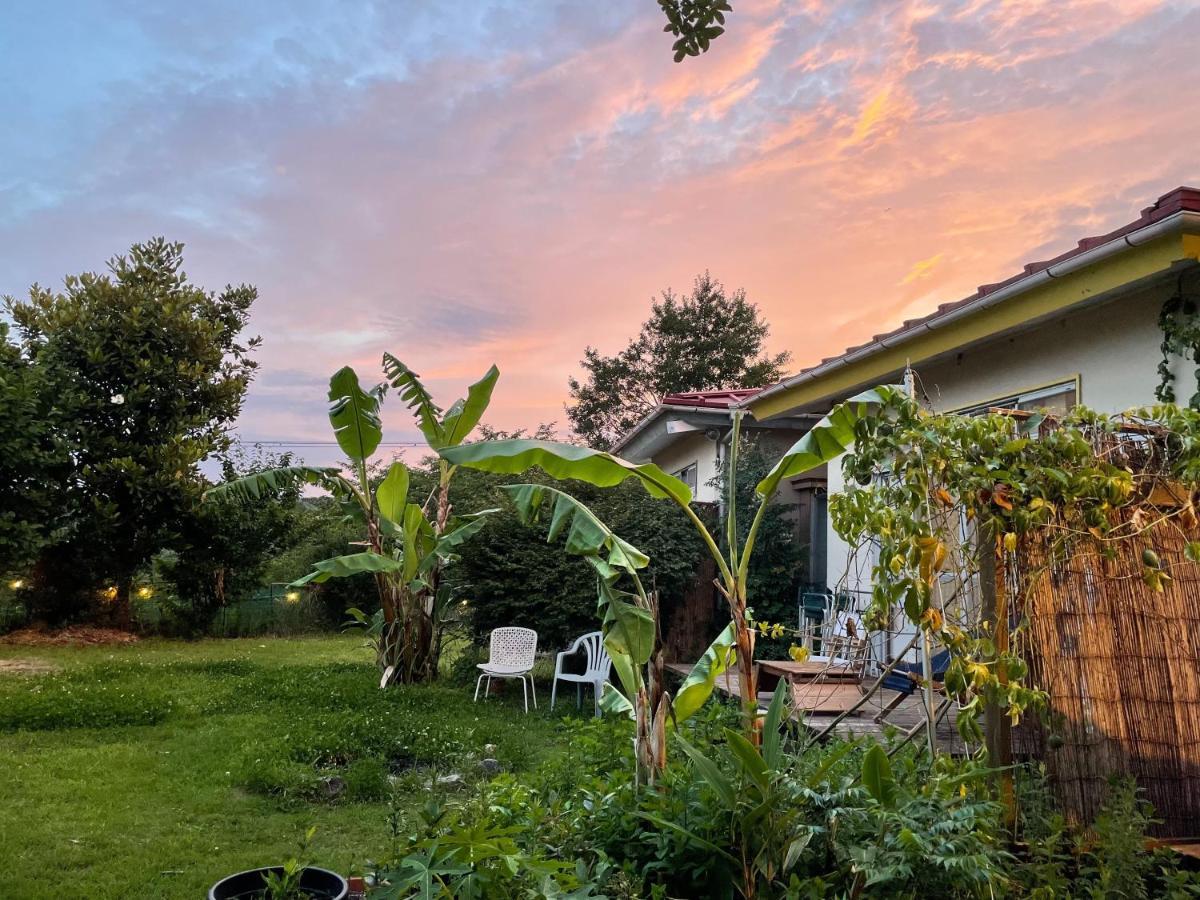 Guesthouse Papaya Shimoda  Εξωτερικό φωτογραφία