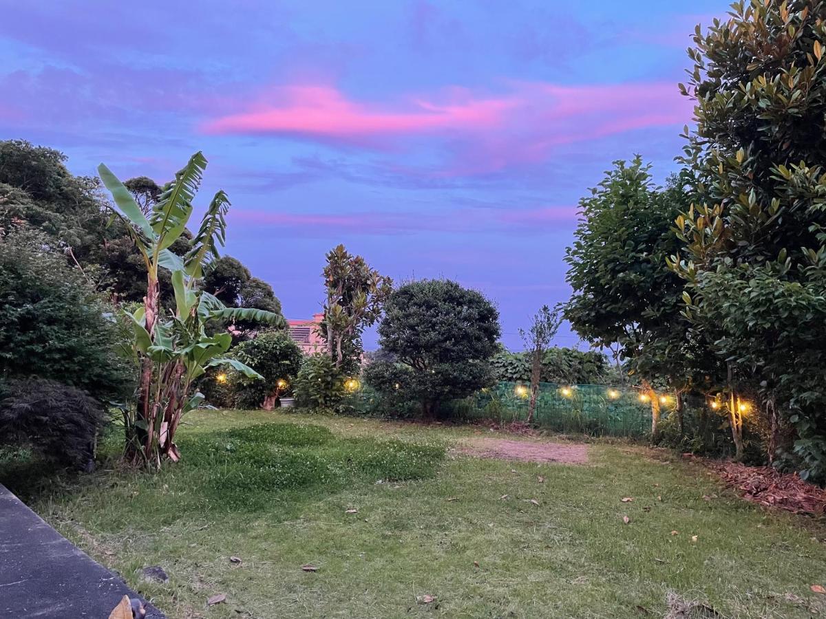 Guesthouse Papaya Shimoda  Εξωτερικό φωτογραφία