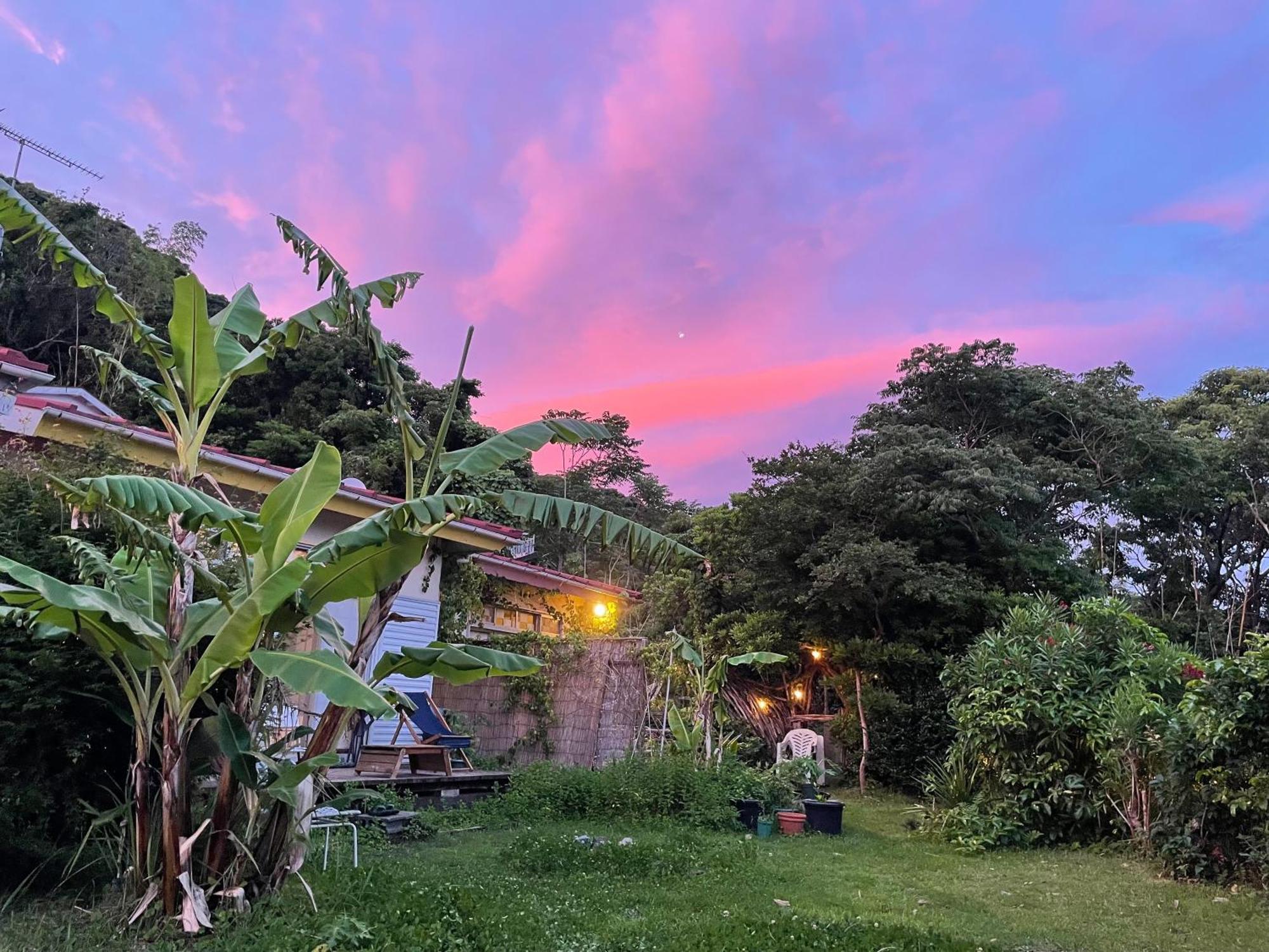 Guesthouse Papaya Shimoda  Εξωτερικό φωτογραφία