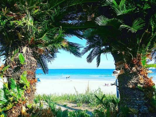 Guesthouse Papaya Shimoda  Εξωτερικό φωτογραφία